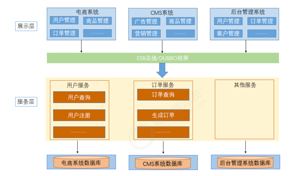 image-20220305123622736