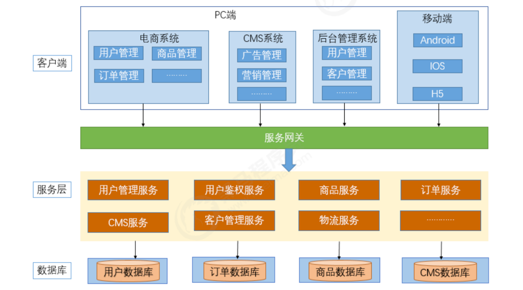 image-20220305123932534