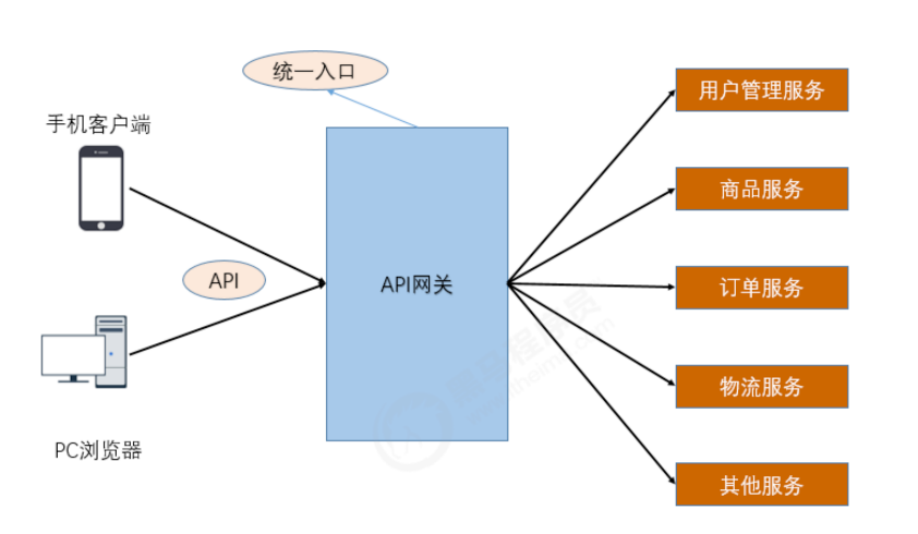 image-20220305135338964