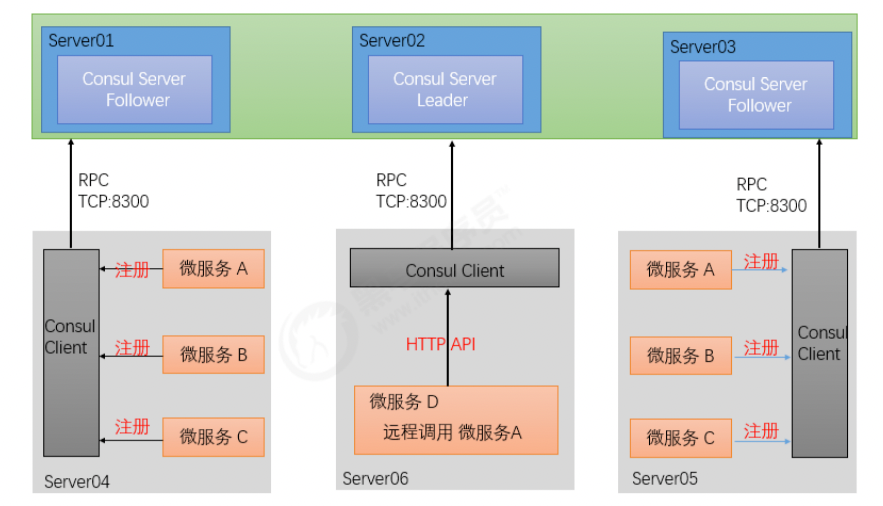 image-20220305152048065