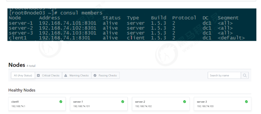 image-20220305152726735