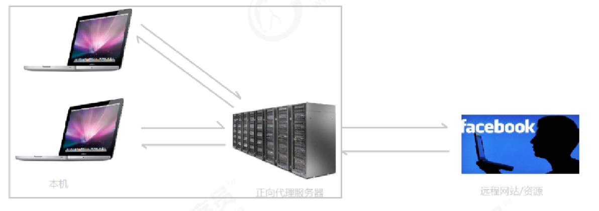 image-20220306103343136