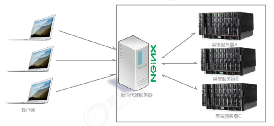 image-20220306103415413